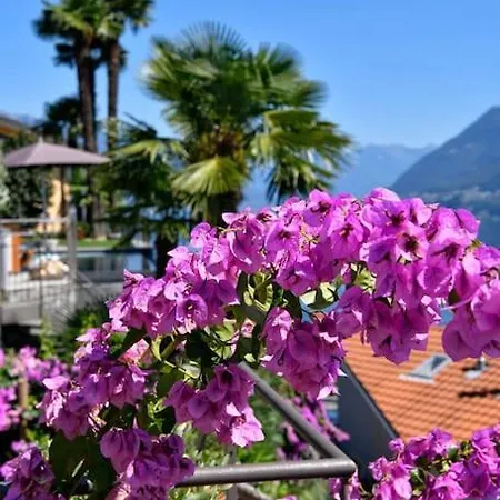 5 Star Deluxe-resort And Heat. Infinity-pool * Brissago